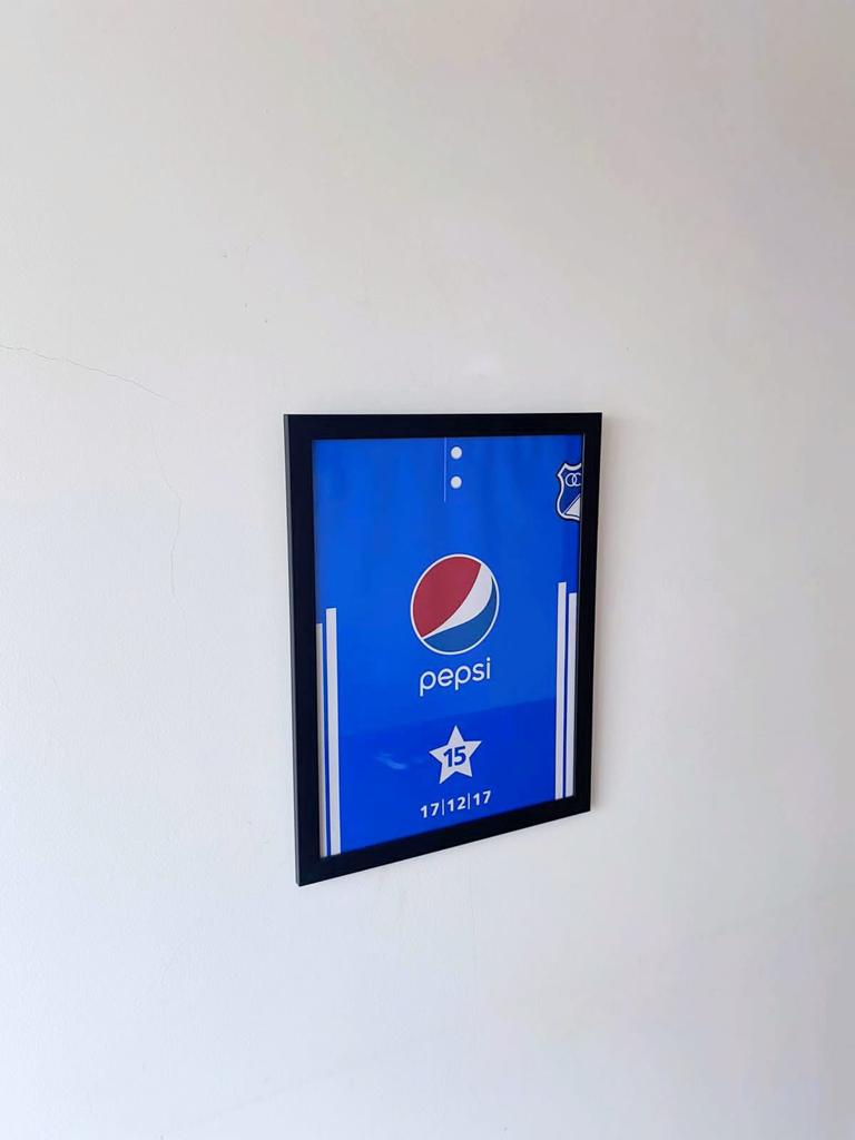 Cuadro Millonarios Campeón 2017